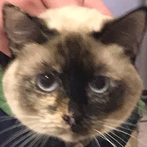 Meet your Posher, Jamie